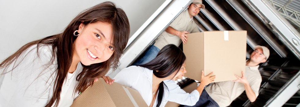 Professional Removalists Grass Valley